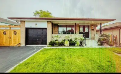 1st November available In downtown Brampton, near Algoma university One big single room available in...