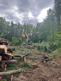 Land Clearing / Simcoe County 