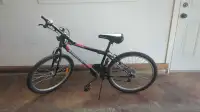 24" kids bike