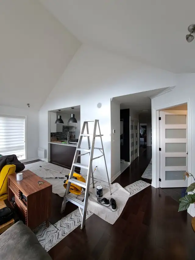Residential Painter65669459346562120
