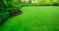 LD Landscaping Lawn care services Niagara Region