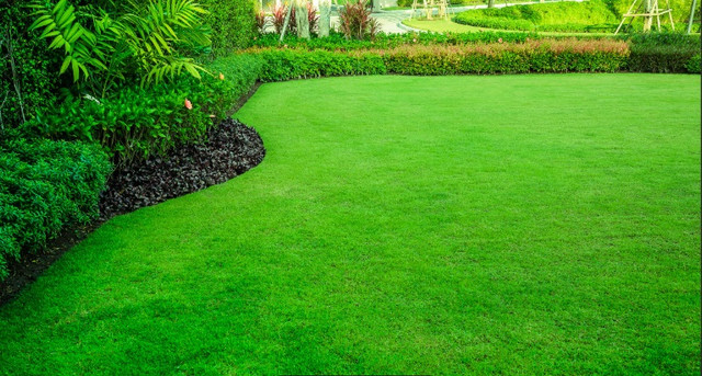 LD Landscaping Lawn care services Niagara Region in Other in St. Catharines