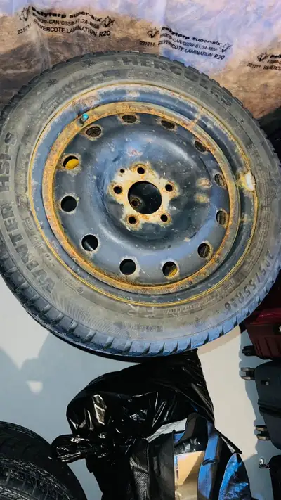 Hercules winter tires, size 205/55R16. Comes with steel rims. Rims have some rust, but tires are rea...