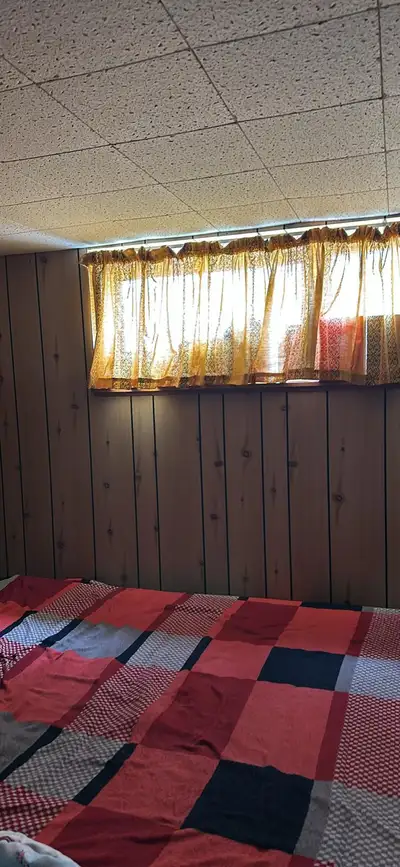 Studio basement available for rent