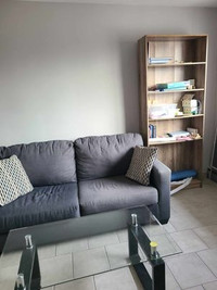 Living Room Furniture - Multiple Items like couch and bookshelf