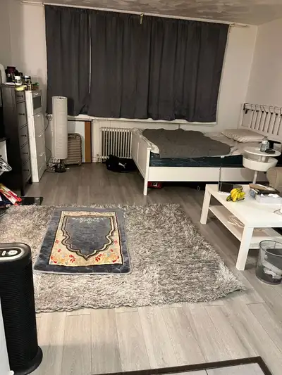 Looking for a roomate to live in shared 1 bedroom apartment, area for rent is the living room, but t...