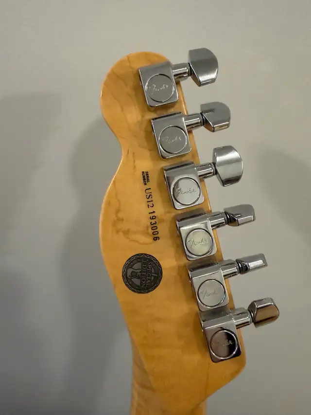 2016 Fender Limited Edition American Standard Telecaster in Guitars in Markham / York Region - Image 5