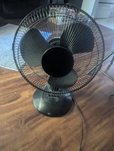 Black Fan, View more