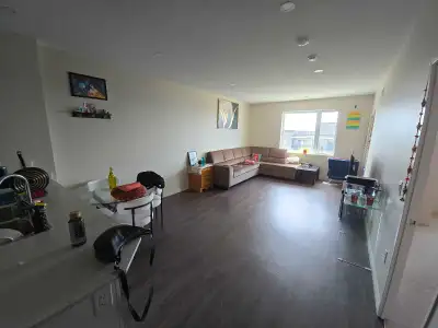 Apartment for rent Rio 5