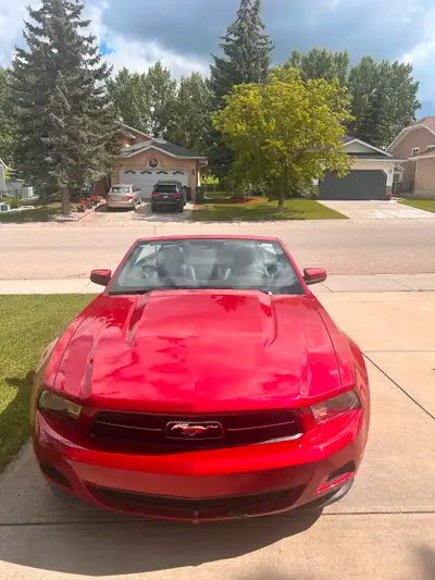 Only 75000 km . Car always garaged. Never driven in the winter. Great shape . V6 automatic. Tires on...