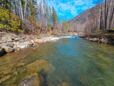40 acres, Riverfront and lake views, no zoning. 6 sites built with septic, 6 more permitted ready to...