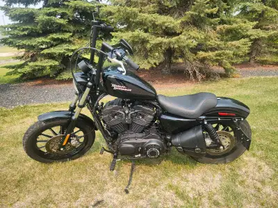Sportster 883XL 6192 original miles Fresh safety Just had the front fork seals done Mustang Solo sea...