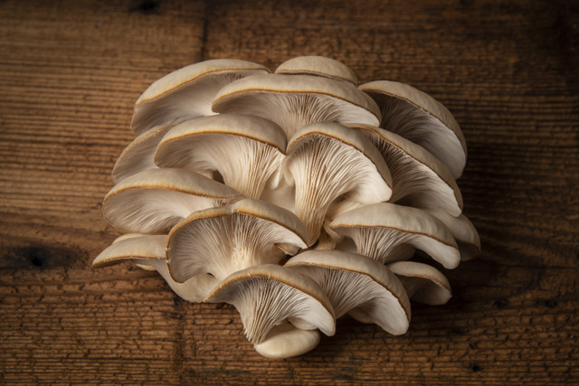 Flash deal - farm fresh oyster mushrooms, up to 60% off msrp in Kitchen & Dining Wares in Woodstock
