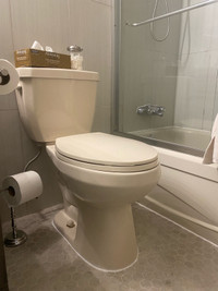 Shower Doors & Toilet