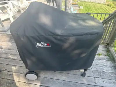 Weber Performer Charcoal Grill, View more