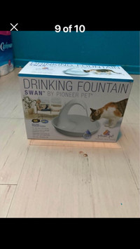 Cat water fountains