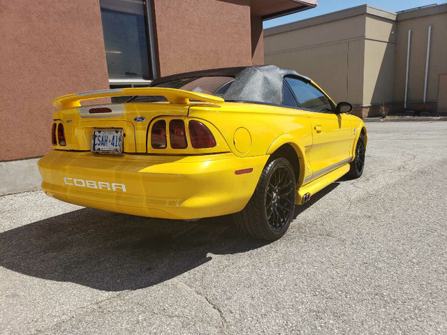 Cobra Svt mustang  now this is a beautiful car!! in Cars & Trucks in City of Toronto
