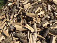 Dry poplar fire wood