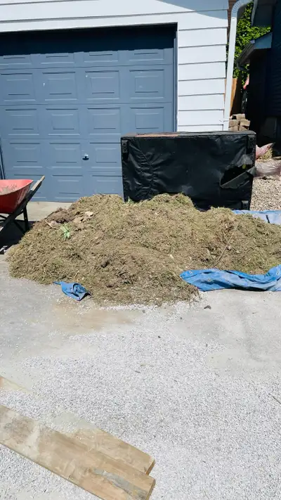 Looking to have dirt/ old grass removed from my driveway!, View more