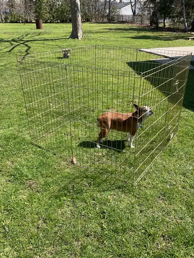 pawhut outdoor dog kennel ( dog not included), View more