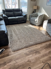 Living room rug 5x7