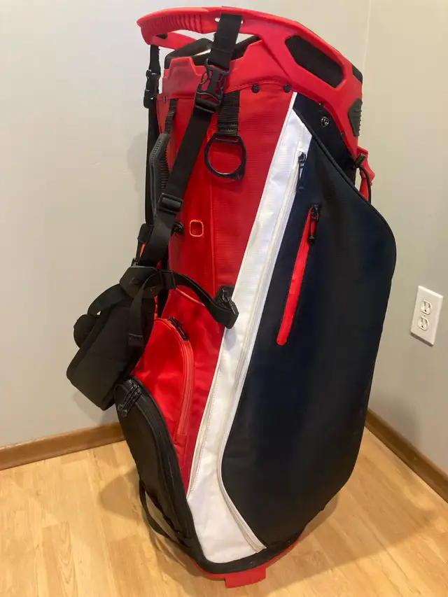 Clubs & Bag  in Golf in Winnipeg - Image 10