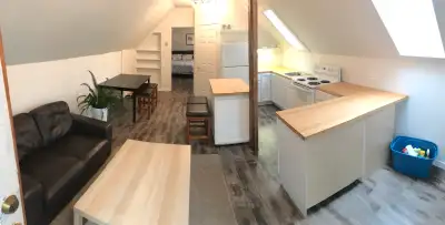 Loft Apartment Downtown - Available August