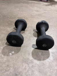 Pair of weights