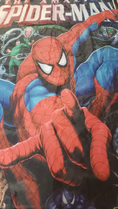 Amazing Spider-Man Hanging Banner, View more