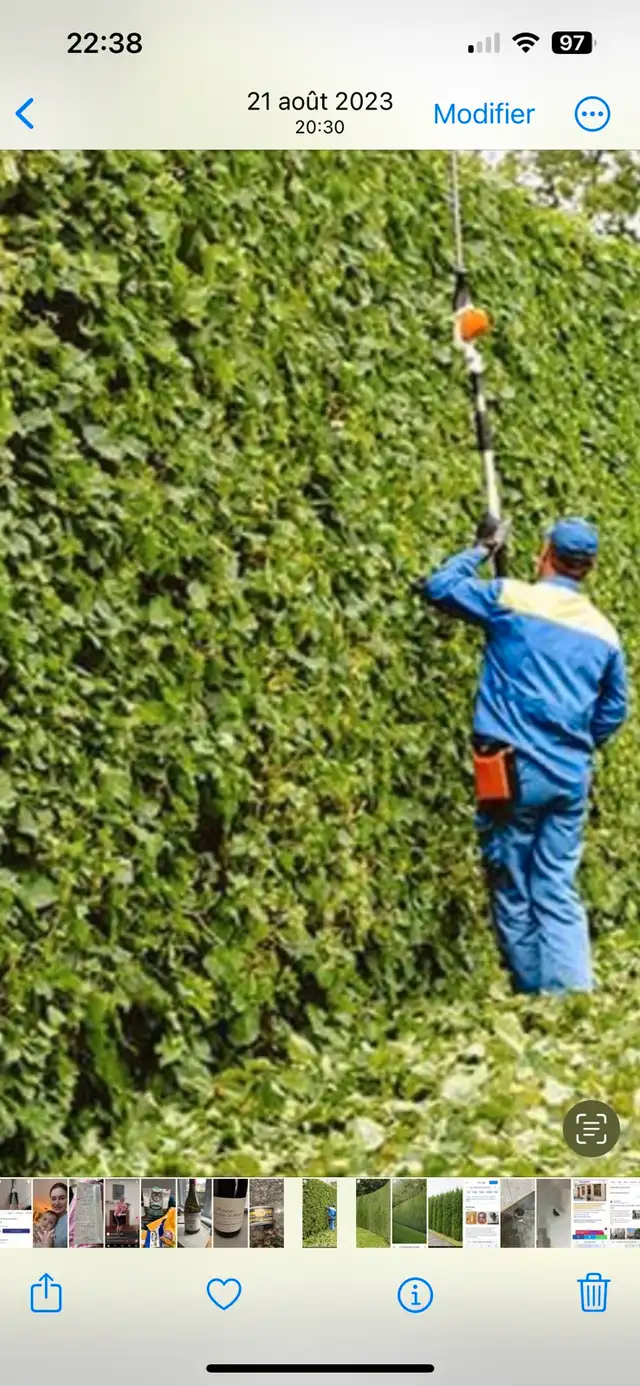 Hedge Trimming - Laval628632382631701224