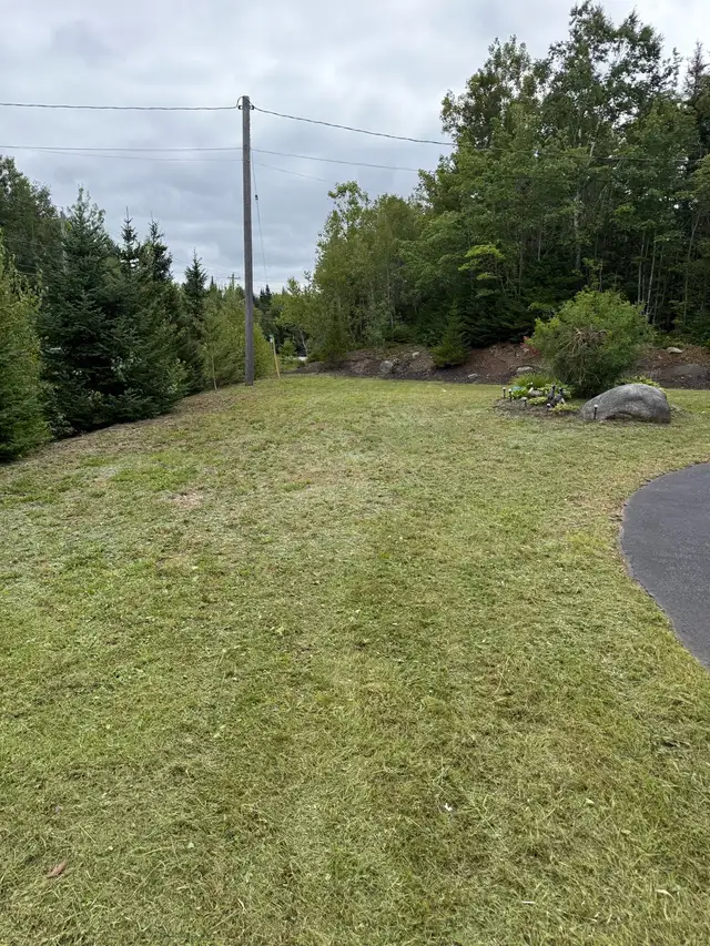 fall cleanup/ leaves removal569705120128061443
