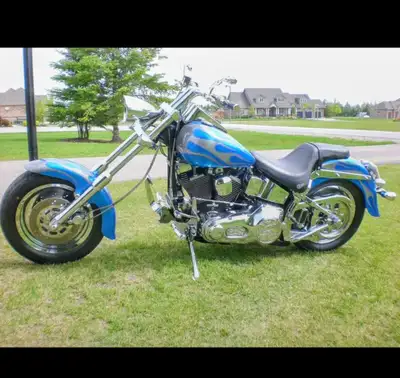 Get ready to turn heads with this One of a kind 1994 Harley-Davidson Fatboy Custom, featuring a stri...