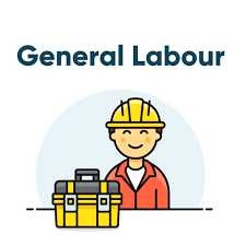 looking for Job  (any work) in General Labour in Mississauga / Peel Region