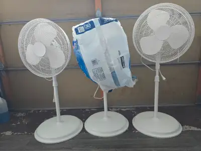 Pedestal Fans and Pot Lights, View more