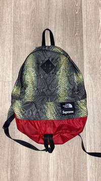 Supreme The North Face SnakeskinLightweight Day Pack