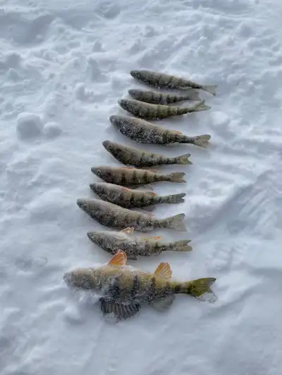 Ice Fishing Made Easy — Warm, Private, and Stress-Free, View more