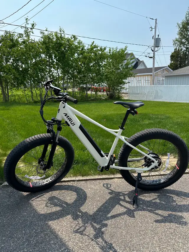 Electric bike Maui Ares628643617143051226