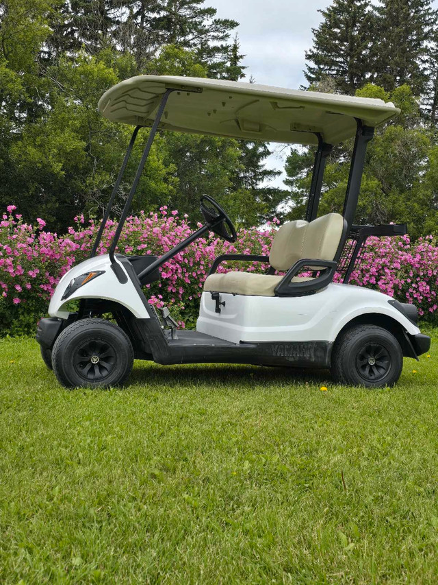 2008 Yamaha G29 Gas golf cart  in Other in Red Deer - Image 2