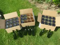 home wine maker wine bottles