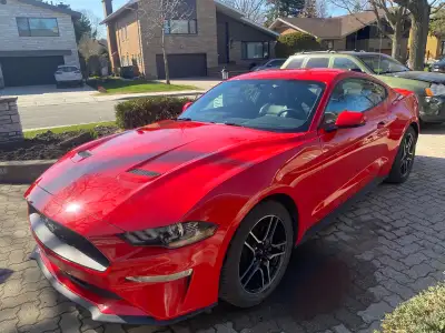 2019 Ford Mustang Ecoboost Premium *400 HP* 