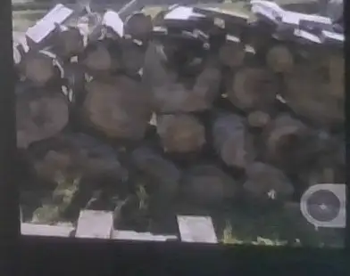 Dry Wood