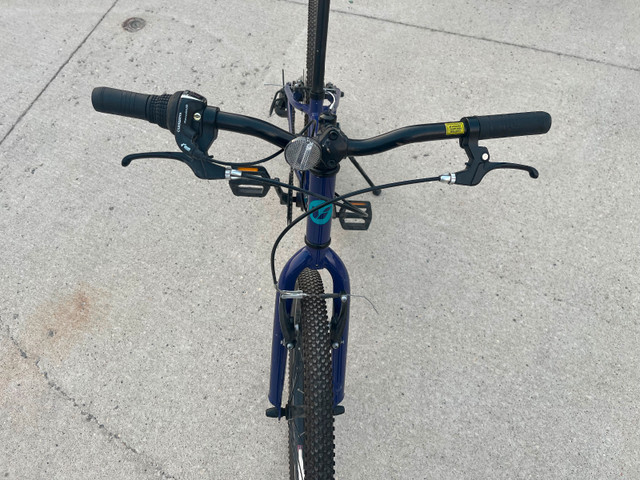 Giant bike 24 inches in Kids in Winnipeg - Image 4
