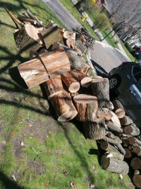 Free firewood very nicely cut hardwood oak and ash. Dry. C pics