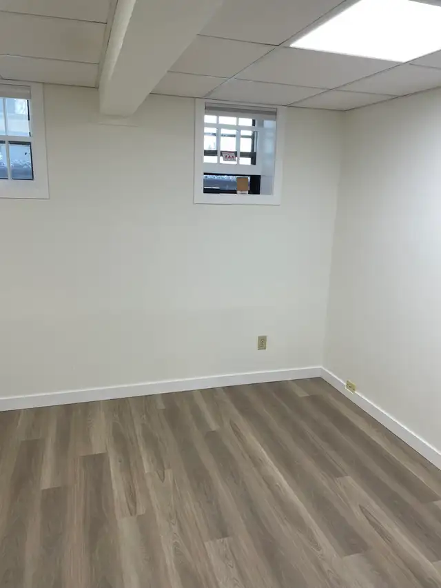 Experienced painter65561289442433122