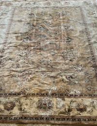 Rug for living room size 240/340