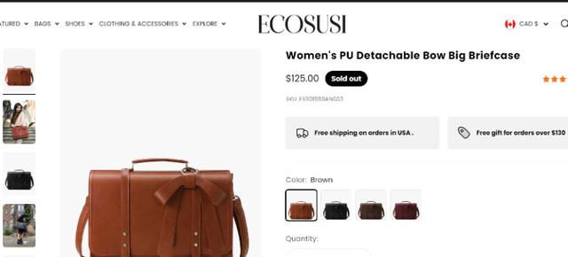 Ecosusi Brown Vintage Style Detachable Bow Big Briefcase in Women's - Bags & Wallets in City of Toronto - Image 2