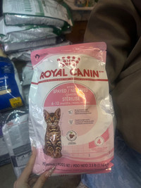 Royal-Kitten food 