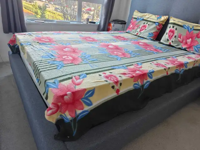 Queen Bed with Headboard – Like New in Beds & Mattresses in Delta/Surrey/Langley - Image 4