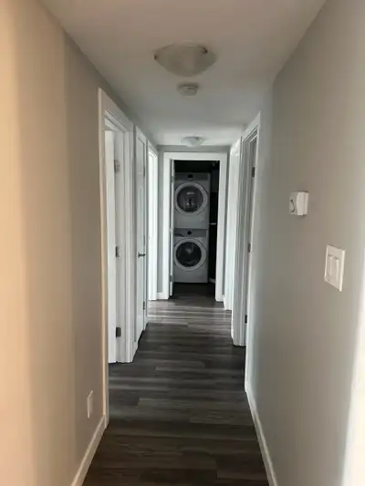 Looking For a Roommate