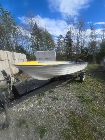 Selling my 14 foot fibre glass boat motor and trailer all in good shape motor works good got papers...